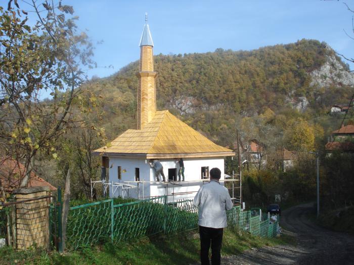 cojluk1601b